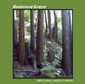 Redwood Grove CD